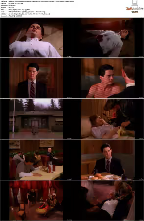 Twin Peaks S02 BluRay 1080p DTS-HD MA 71 AVC REMUX-FraMeSToR