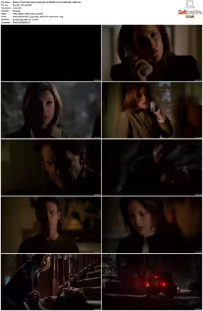 The X-Files S09 1080p Blu-ray REMUX AVC DTS-HD MA5.1-HDH