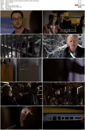 The Blacklist S01 1080p BluRay x265 SDR DDP 5 1 - DarQ HONE