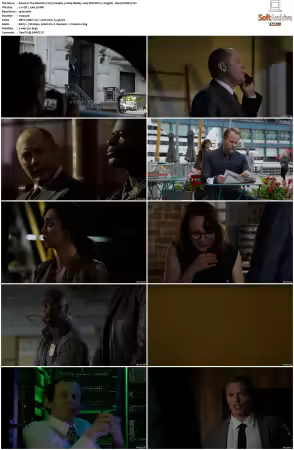 The Blacklist 2013 S04 1080p BluRay x265 SDR DDP 5 1 DarQ HONE