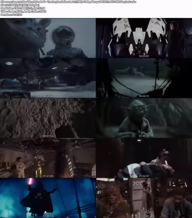 Star Wars Episode V The Empire Strikes Back 1980 1080p Bluray OPUS 7.1 AV1-WhiskeyJack