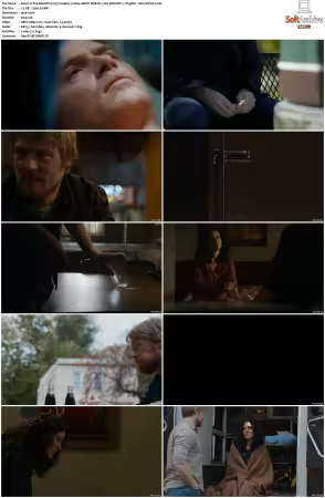 The Blacklist 2013 S09 1080p AMZN WEB-DL x265 SDR DDP 5.1 DarQ HONE