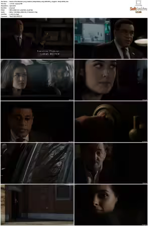 The Blacklist S08 1080p BluRay x265 SDR DDP 5 1 English - DarQ HONE