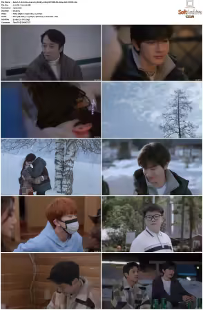 Ski into Love S01 1080p NF WEB-DL H264 AAC-CHIOS