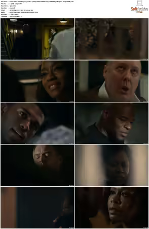 The Blacklist 2013 S10 1080p AMZN WEB-DL x265 SDR DDP 5 1 English - DarQ HONE