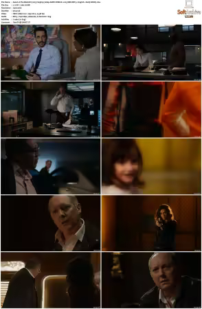 The Blacklist 2013 S09 1080p AMZN WEB-DL x265 SDR DDP 5.1 DarQ HONE