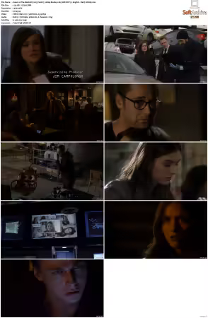 The Blacklist S01 1080p BluRay x265 SDR DDP 5 1 - DarQ HONE