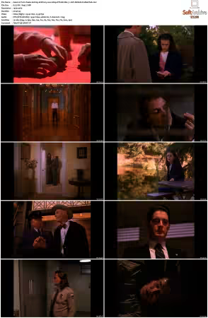 Twin Peaks S02 BluRay 1080p DTS-HD MA 71 AVC REMUX-FraMeSToR
