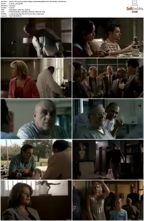 The Sopranos S06 1080p BluRay REMUX AVC DTS-HD MA 5.1-NOGRP