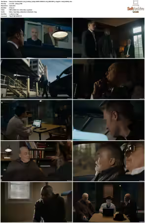 The Blacklist 2013 S10 1080p AMZN WEB-DL x265 SDR DDP 5 1 English - DarQ HONE