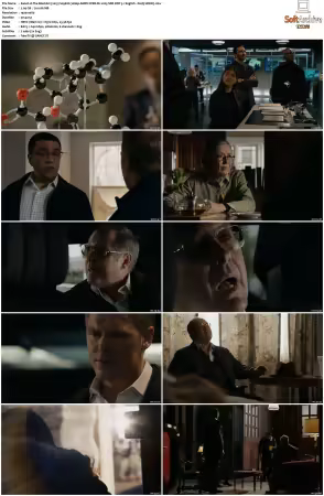 The Blacklist 2013 S09 1080p AMZN WEB-DL x265 SDR DDP 5.1 DarQ HONE