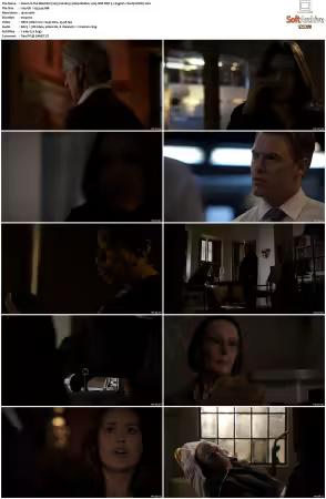 The Blacklist 2013 S02 1080p BluRay x265 SDR DDP 5 1 - DarQ HONE