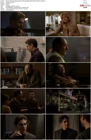 The Sopranos S06 1080p BluRay REMUX AVC DTS-HD MA 5.1-NOGRP