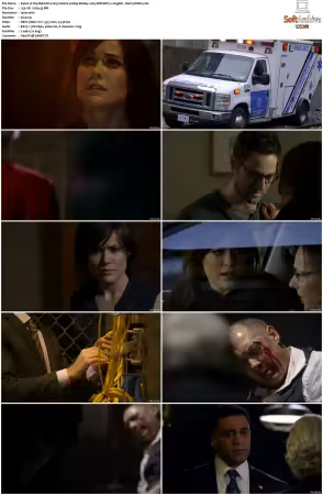 The Blacklist S01 1080p BluRay x265 SDR DDP 5 1 - DarQ HONE