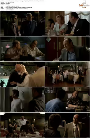 The Sopranos S06 1080p BluRay REMUX AVC DTS-HD MA 5.1-NOGRP