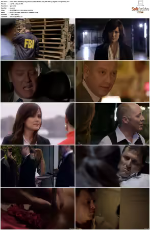 The Blacklist S01 1080p BluRay x265 SDR DDP 5 1 - DarQ HONE