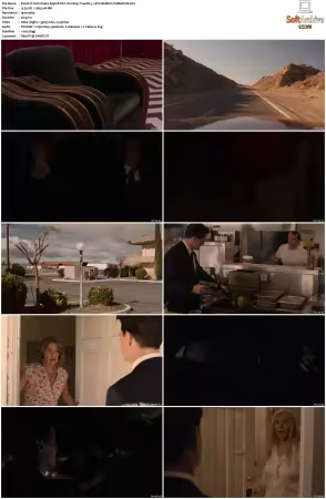 Twin Peaks S03 BluRay 1080p TrueHD 5.1 AVC REMUX-FraMeSToR