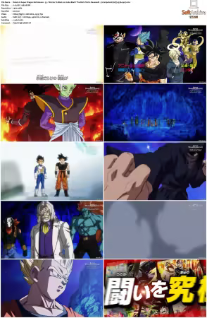Super Dragon Ball Heroes S01 1080p x264-NOGRP