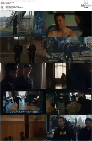 FBI International S04 1080p AMZN WEB-DL DDP5.1 H264-NTb
