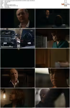 The Blacklist 2013 S09 1080p AMZN WEB-DL x265 SDR DDP 5.1 DarQ HONE