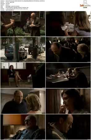 The Sopranos S06 1080p BluRay REMUX AVC DTS-HD MA 5.1-NOGRP