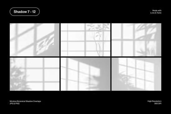 Window Botanical Shadow Overlays - 2WHH72Y