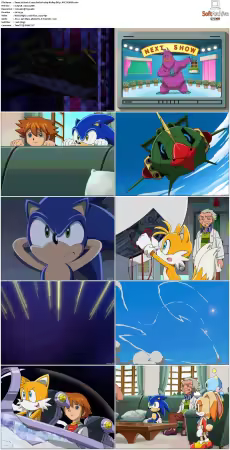 Sonic X 2003 S01 JAPANESE 480p BluRay DD5.1 AVC REMUX
