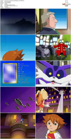 Sonic X 2003 S02 JAPANESE 480p BluRay DD5.1 AVC REMUX