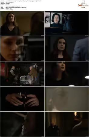 The Blacklist 2013 S06 1080p BluRay x265 SDR DDP 5 1 DarQ HONE