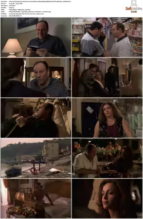The Sopranos S02 1080p BluRay REMUX AVC DTS-HD MA 5 1-NOGRP