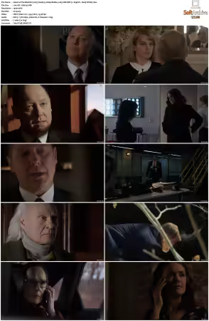 The Blacklist 2013 S04 1080p BluRay x265 SDR DDP 5 1 DarQ HONE