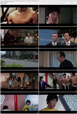 Goodbye Bruce Lee His Last Game of Death 1975 1080p Bluray Remux AVC DTS-HD MA 2.0-demonen