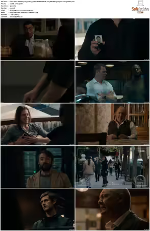 The Blacklist 2013 S10 1080p AMZN WEB-DL x265 SDR DDP 5 1 English - DarQ HONE