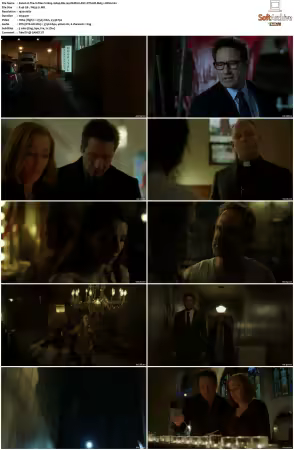 The X-Files S11 1080p Blu-ray REMUX AVC DTS-HD MA5.1-HDH