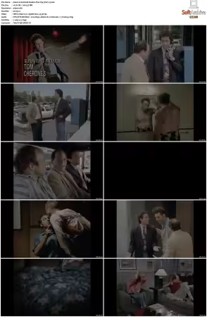 Seinfeld S04 2160p UHD Blu-ray Remux Hybrid DV HDR HEVC DTS-HD MA 5.1-NEWMAN