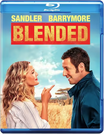 Blended 2014 1080p WEBRip DDP 5.1 10bit H265-iVy