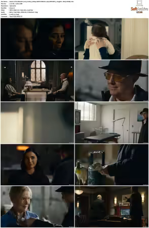 The Blacklist 2013 S10 1080p AMZN WEB-DL x265 SDR DDP 5 1 English - DarQ HONE