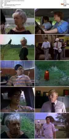 The Adventures Of Superboy S01 DVDRip XviD-SPRiNTER