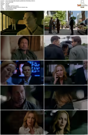 The X-Files S10 1080p Blu-ray REMUX AVC DTS-HD MA5.1-HDH