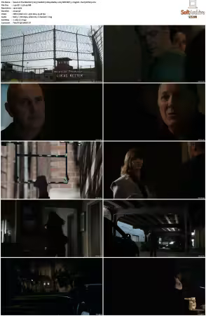 The Blacklist 2013 S06 1080p BluRay x265 SDR DDP 5 1 DarQ HONE