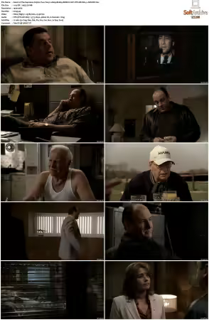 The Sopranos S05 1080p BluRay REMUX AVC DTS-HD MA 5.1-NOGRP