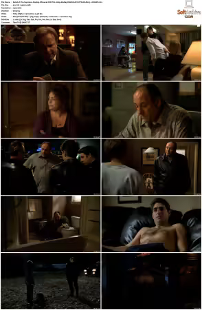 The Sopranos S04 1080p BluRay REMUX AVC DTS-HD MA 5.1-NOGRP
