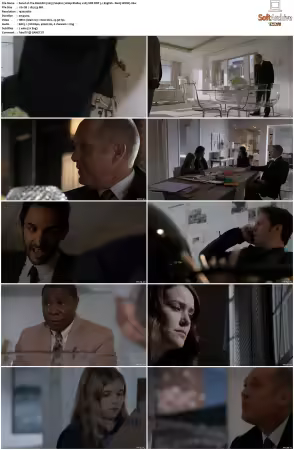 The Blacklist 2013 S04 1080p BluRay x265 SDR DDP 5 1 DarQ HONE