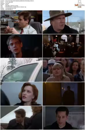 The X-Files S01 1080p Blu-ray REMUX AVC DTS-HD MA5.1-HDH