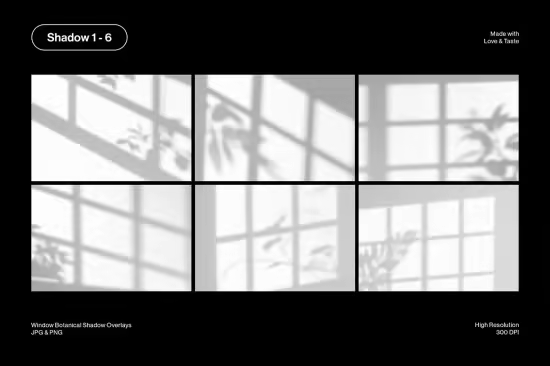 Window Botanical Shadow Overlays - 2WHH72Y