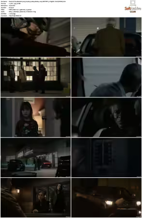 The Blacklist 2013 S07 1080p BluRay x265 SDR DDP 5 1 DarQ HONE
