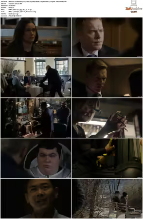 The Blacklist 2013 S06 1080p BluRay x265 SDR DDP 5 1 DarQ HONE