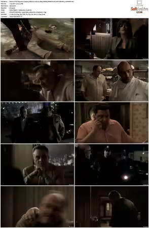 The Sopranos S05 1080p BluRay REMUX AVC DTS-HD MA 5.1-NOGRP