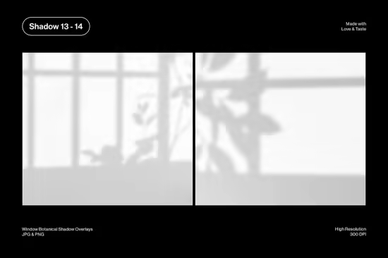 Window Botanical Shadow Overlays - 2WHH72Y