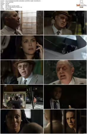The Blacklist 2013 S06 1080p BluRay x265 SDR DDP 5 1 DarQ HONE